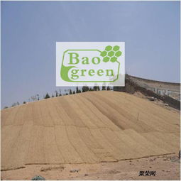 護(hù)坡植被墊植草毯廠家現(xiàn)貨直銷 生態(tài)建材銷售新選擇