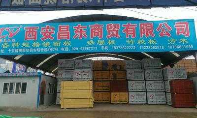 綠色未來，構(gòu)筑美好——公司生態(tài)建材銷售簡介