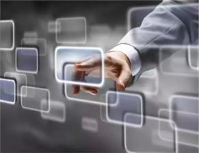 泰安廣寶寶馬信息咨詢服務(wù) 專業(yè)購車顧問，駕馭精彩未來